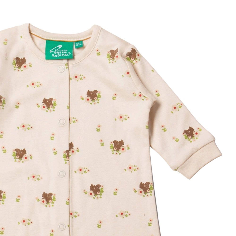 Little Green Radicals Autumn Squirrel Babygrow 