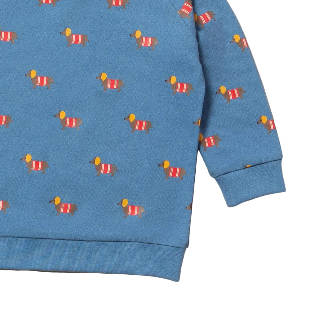 Sausage Dogs Raglan Sweatshirt 3