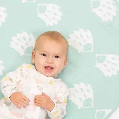 Hedgehog Knit Blanket 2