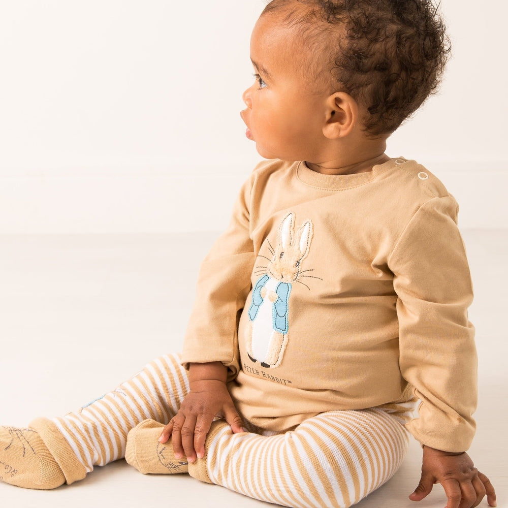 Peter Rabbit Neutral Applique Top 2