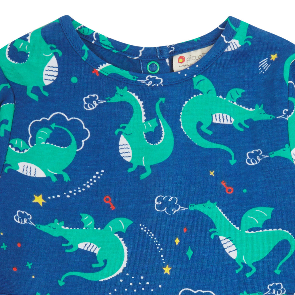Magical Dragon Skater Dress 2