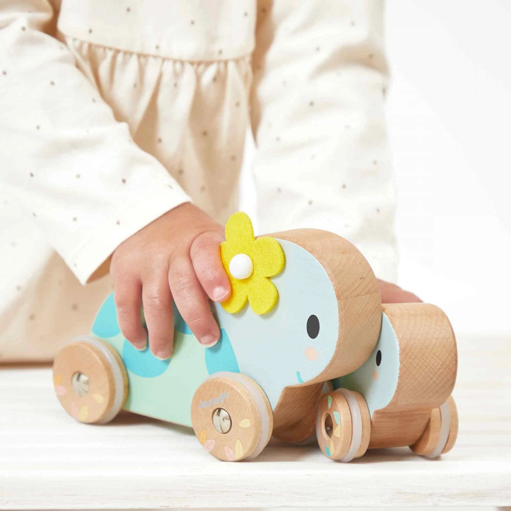 Set of 2 Pushing Turtles 2