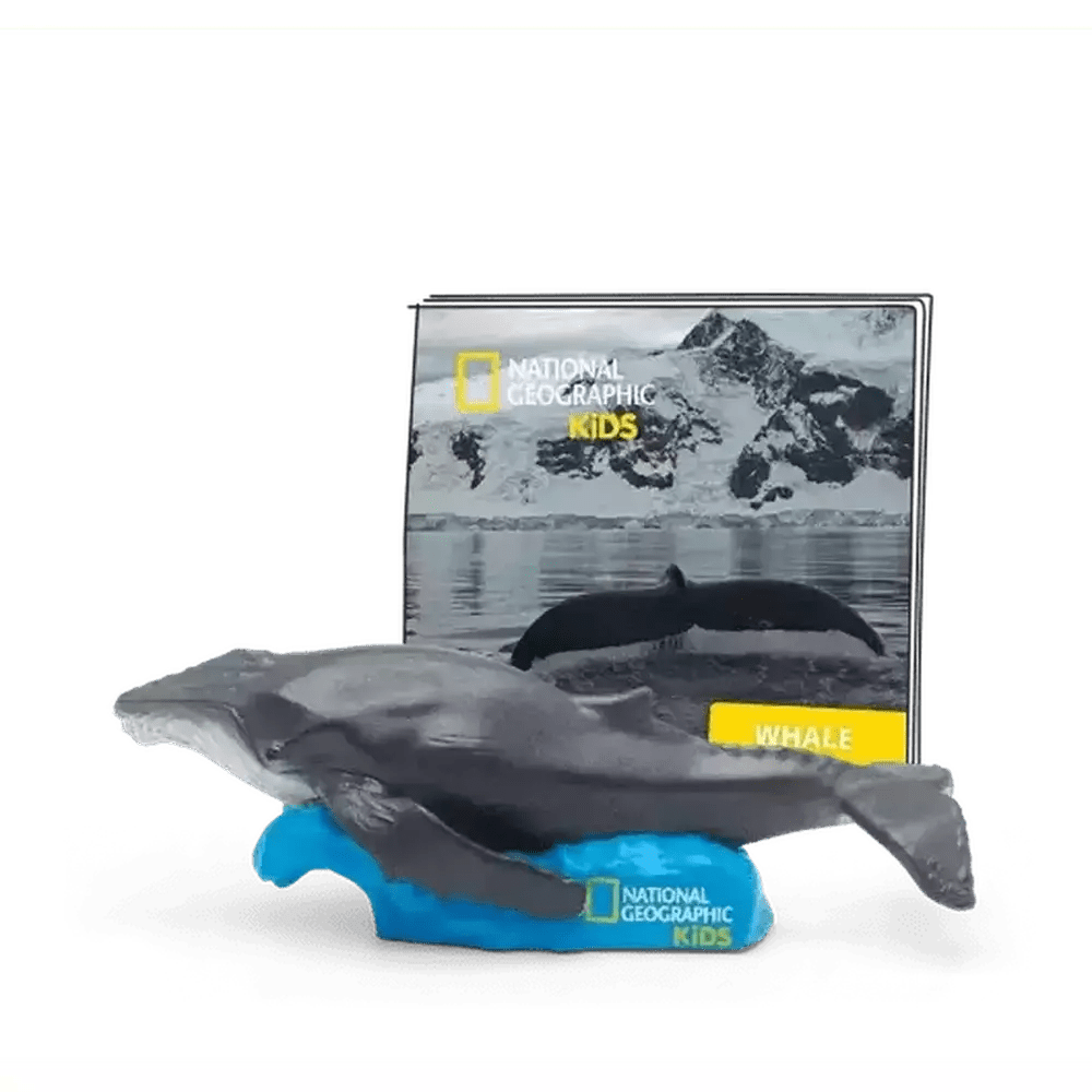 Tonie - National Geographic Whale 1