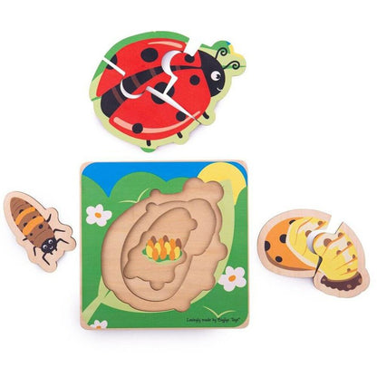 Lifecycle Layer Puzzle - Ladybug 2