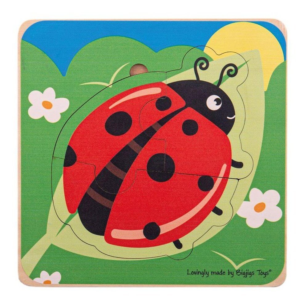 Lifecycle Layer Puzzle - Ladybug 1
