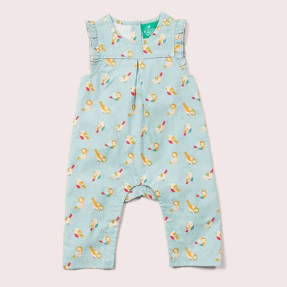 Little Green Radicals Rainbow Birds Frill Summer Romper 