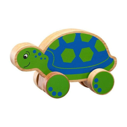 Push Along Turtle 1