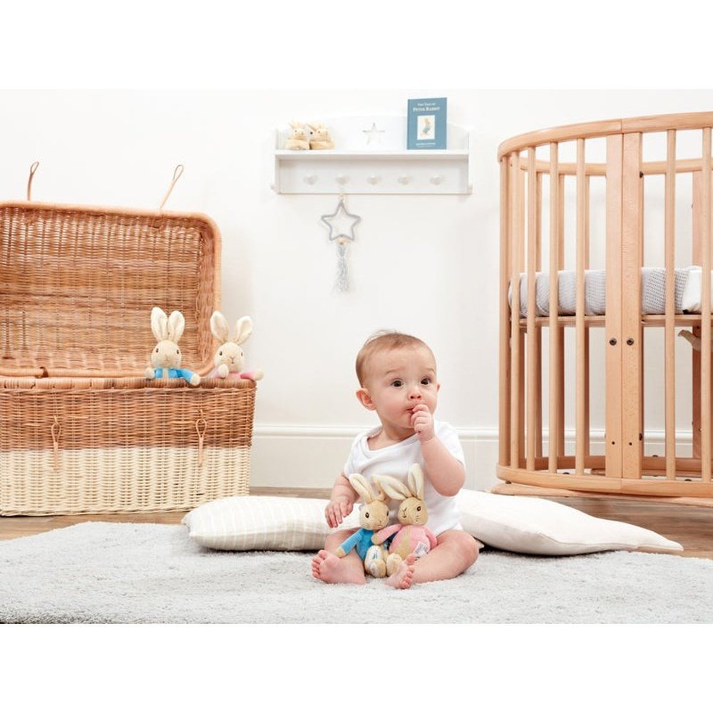 Peter Rabbit & Flopsy Bunny Plush Rattle 4