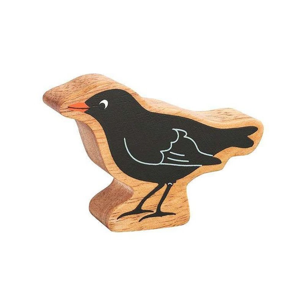Blackbird Figure 1