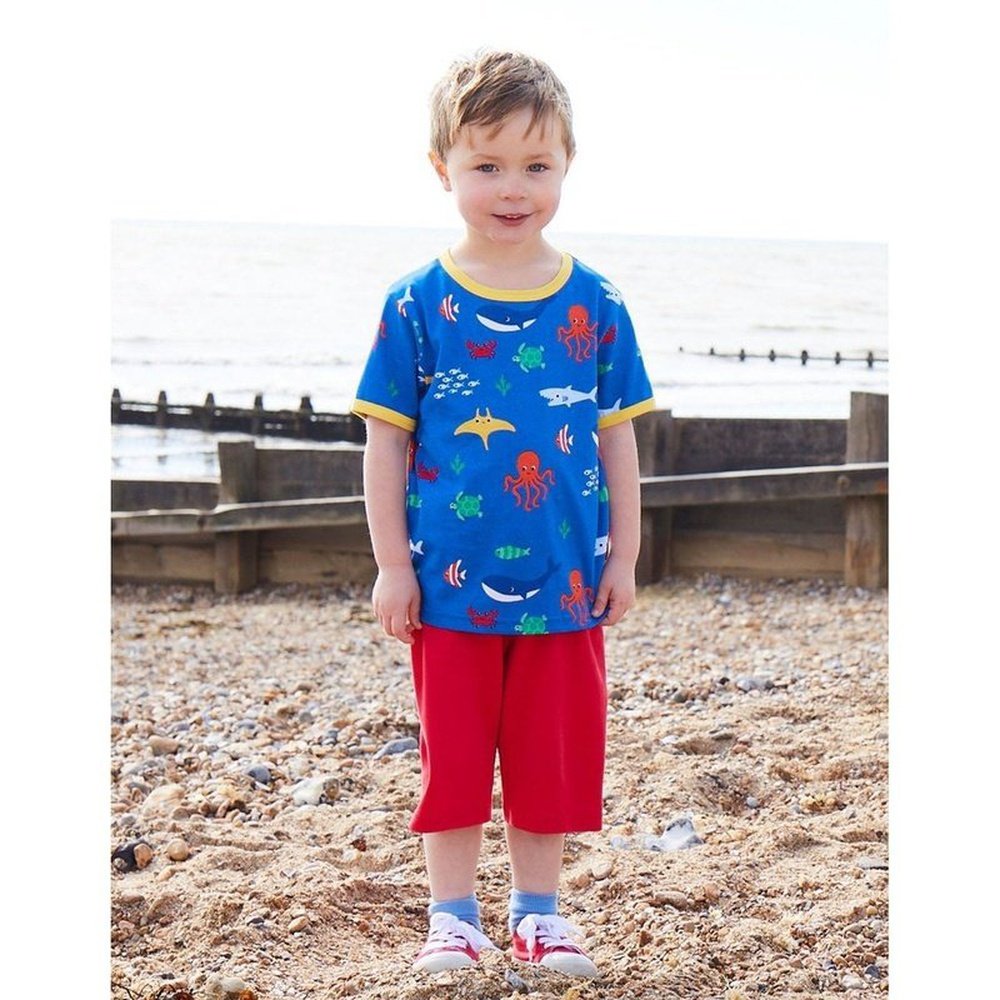 Sealife Print T-Shirt 2