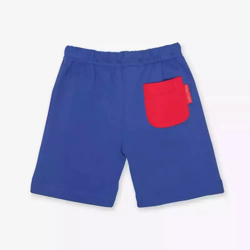 Blue Basic Shorts 2