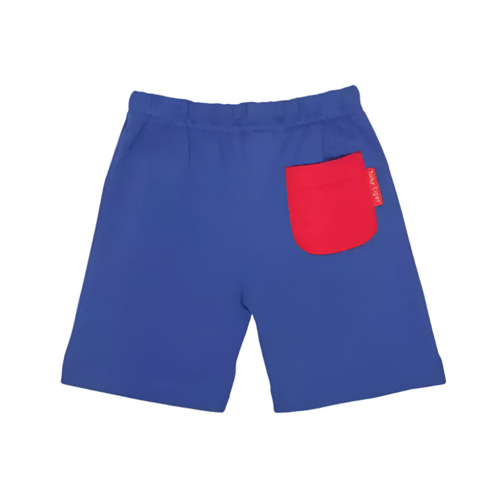Blue Basic Shorts 2