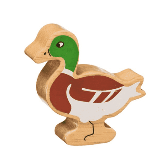 Duck Figure 1