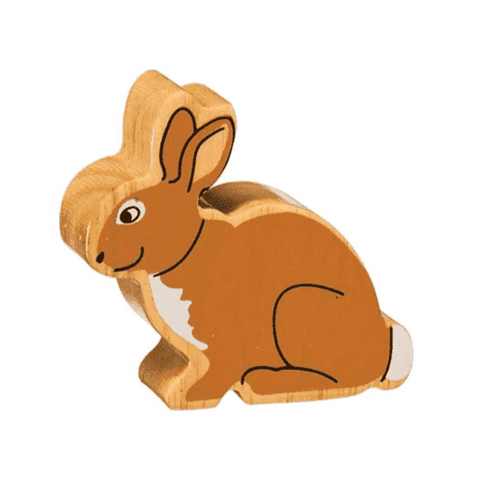 Rabbit Figure 1