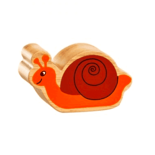 Natural colourful insects - Snail 1