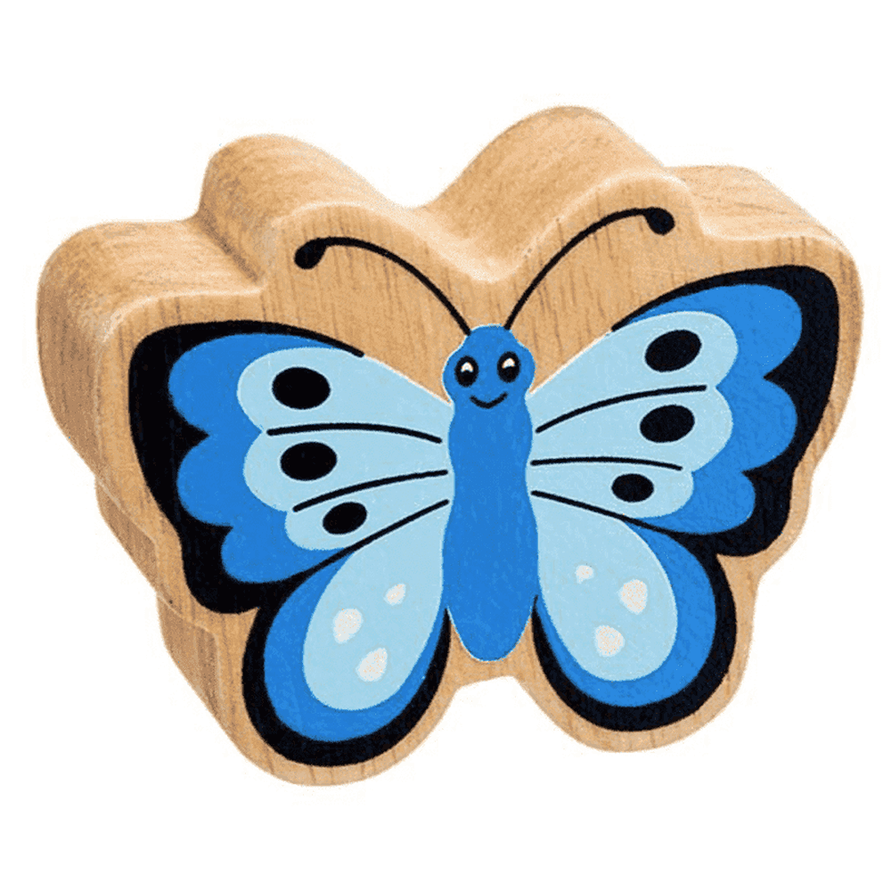 Butterfly Figure 1