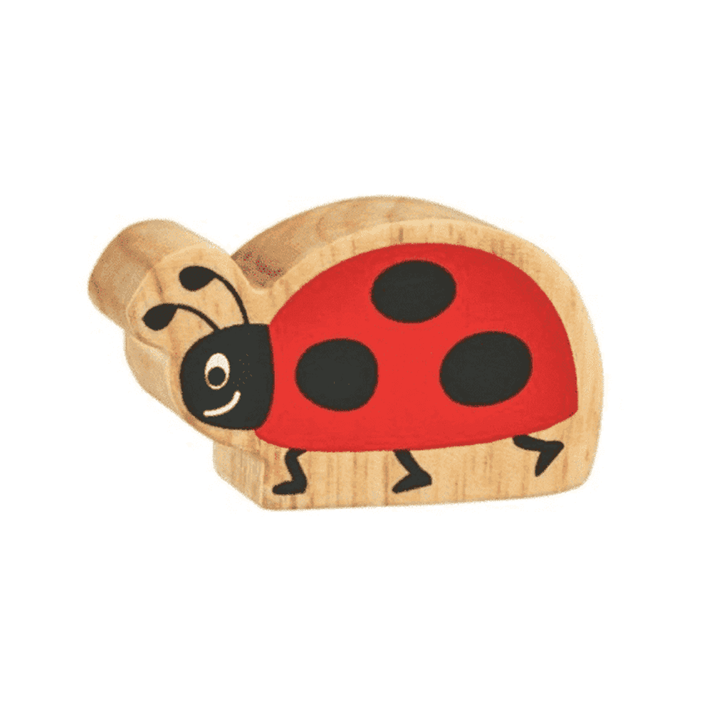 Ladybird Figure 1