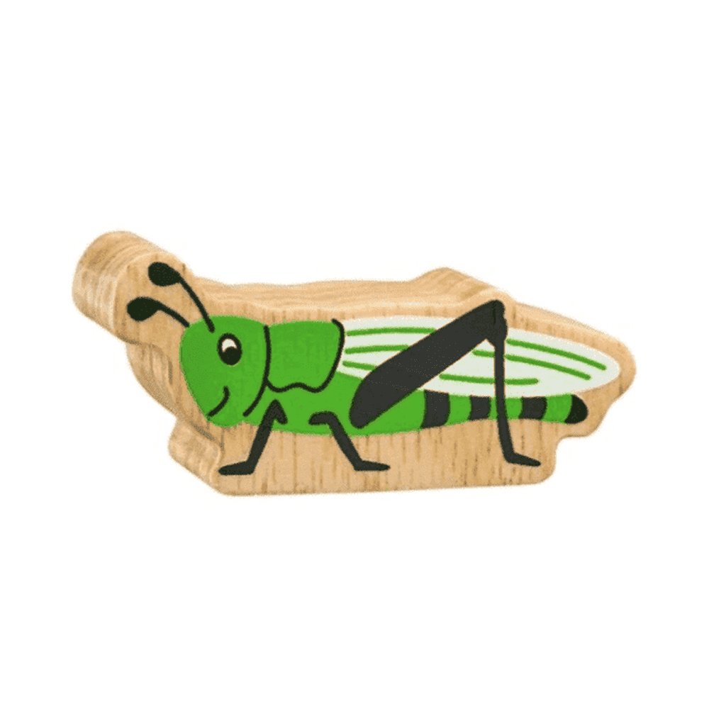 Grasshopper Figure 1