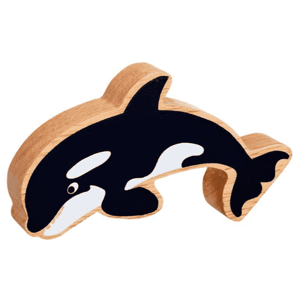 Natural colourful sealife - Orca 1
