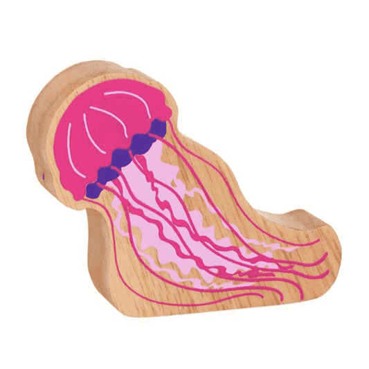 Jellyfish Figure 1
