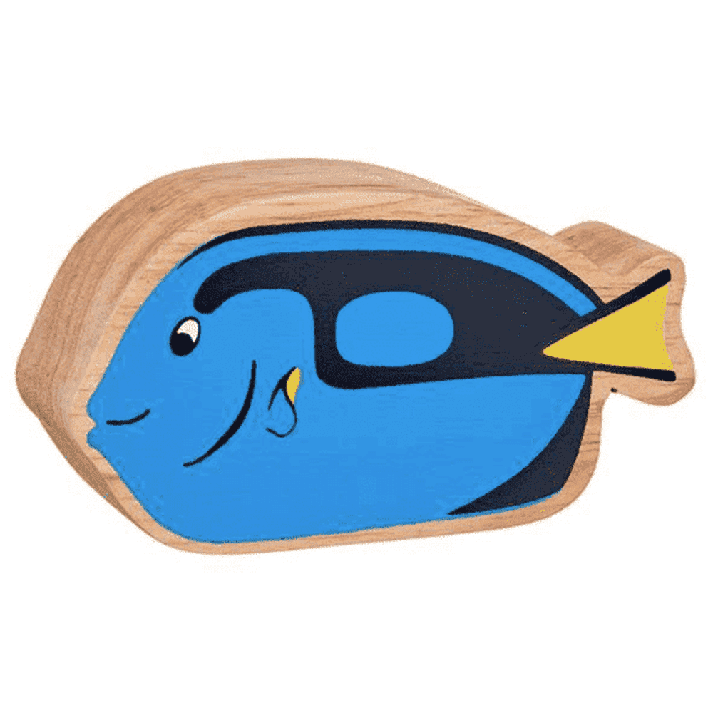 Blue Tang Figure 1