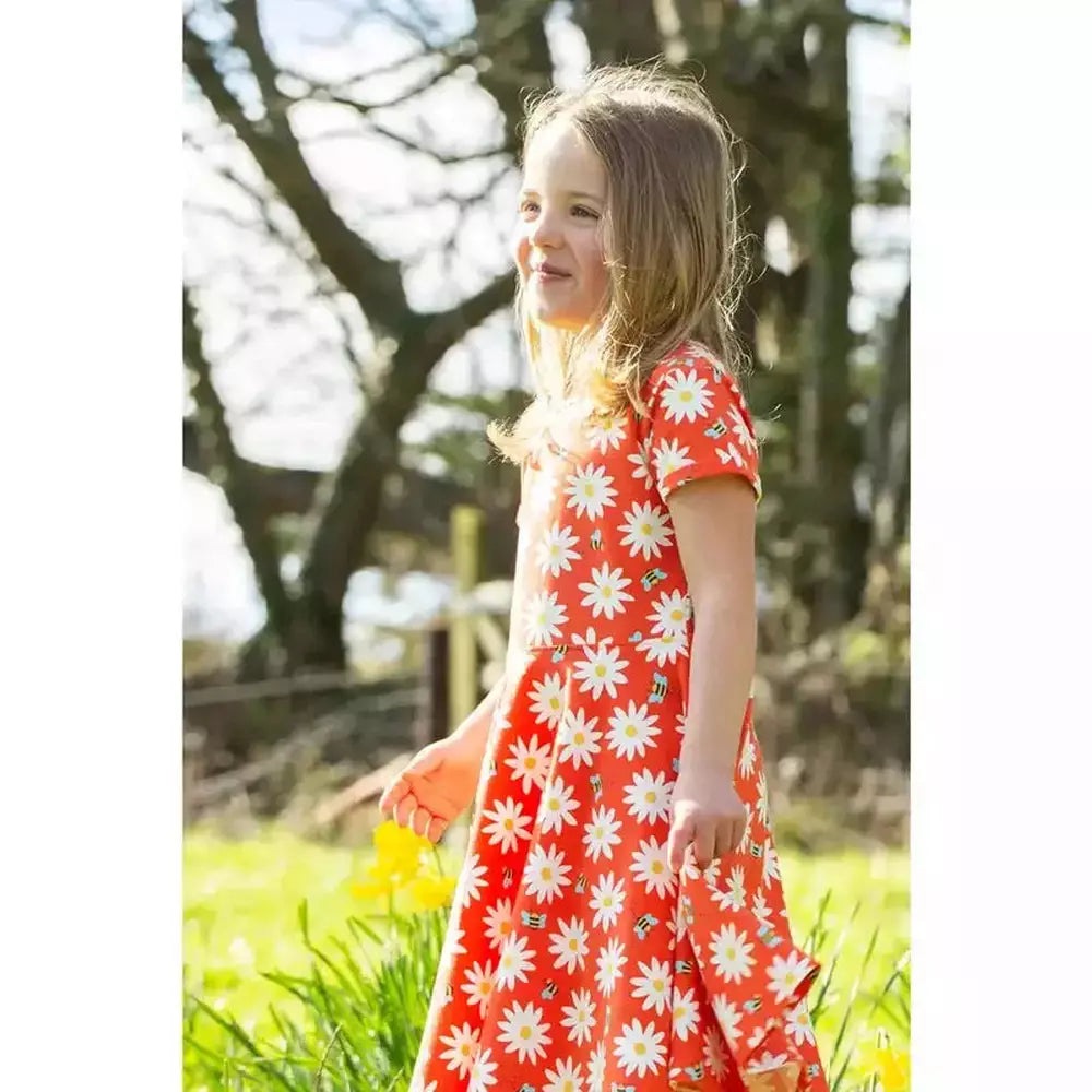 Spring Skater Dress - Nice Daisy 2