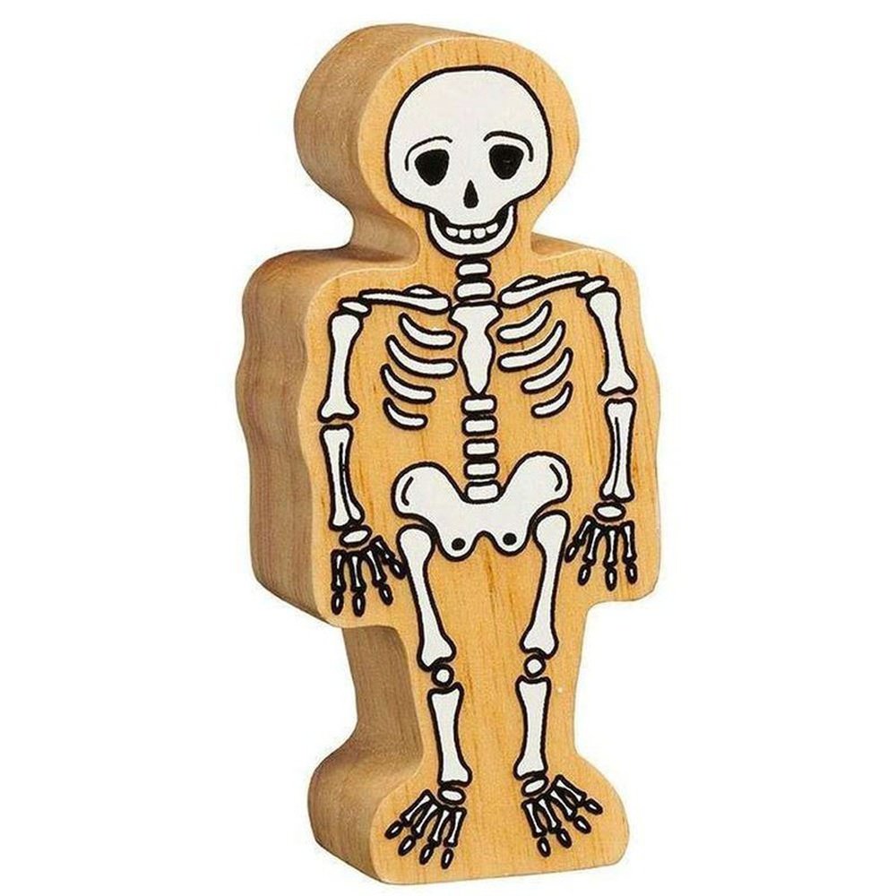 Skeleton Figure 1