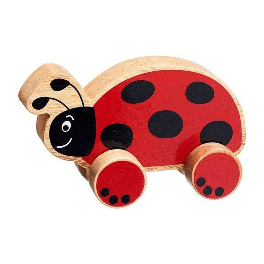 Push Along Ladybird 1