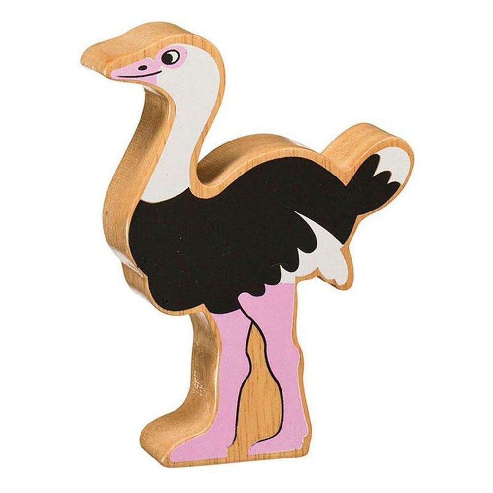 Natural colourful world animals - Ostrich 1